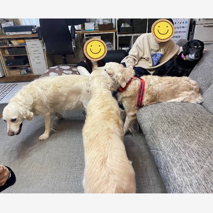 73d4951b 51af 4727 8e7a 35926c0aead6 1708784363874