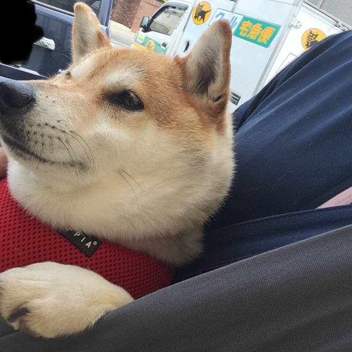 73d4cbdb 6be0 44c3 b680 d8d3d7ad4c3e 1589521728322