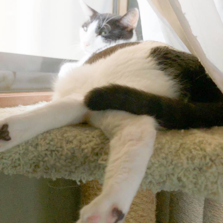 73d4facb cecb 485d 83d0 0420a2818587 1564968267050