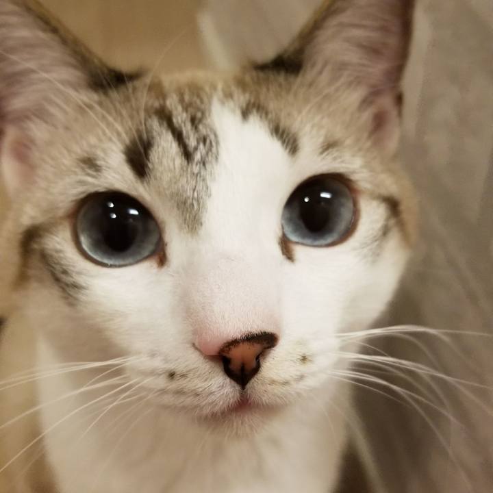 73d4fe01 3ed6 46cf 81e8 59c795f6e032 1518275282534