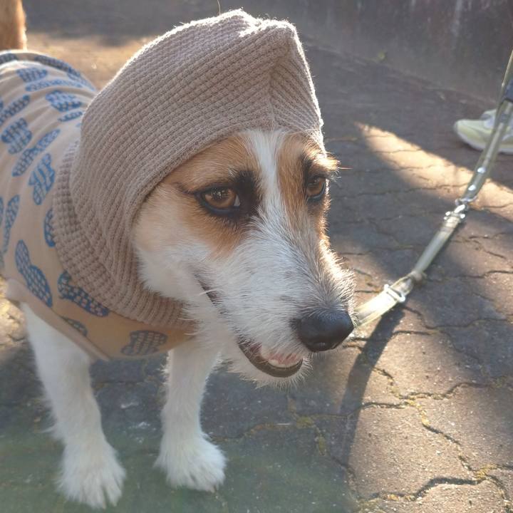 73d503df 5076 4382 99ce 8a1489d1186a 1634992942248