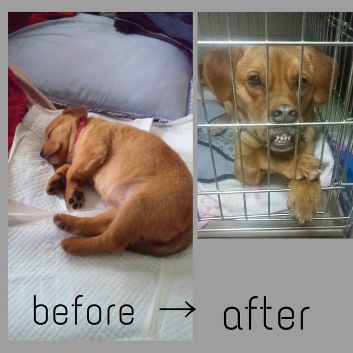 73d5150f b158 43d2 a16e 63e6497b1523 1511837755021