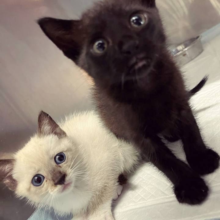 73d53505 f0d5 404b 8219 1b16f4302970 1665094487030