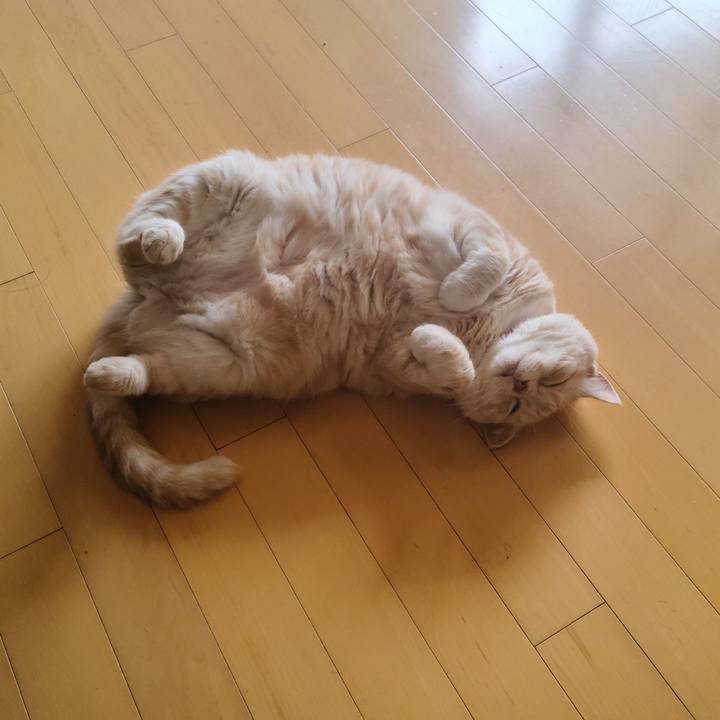 73d53e4c 479c 4aed 8402 ace68de4df4d 1657611563658