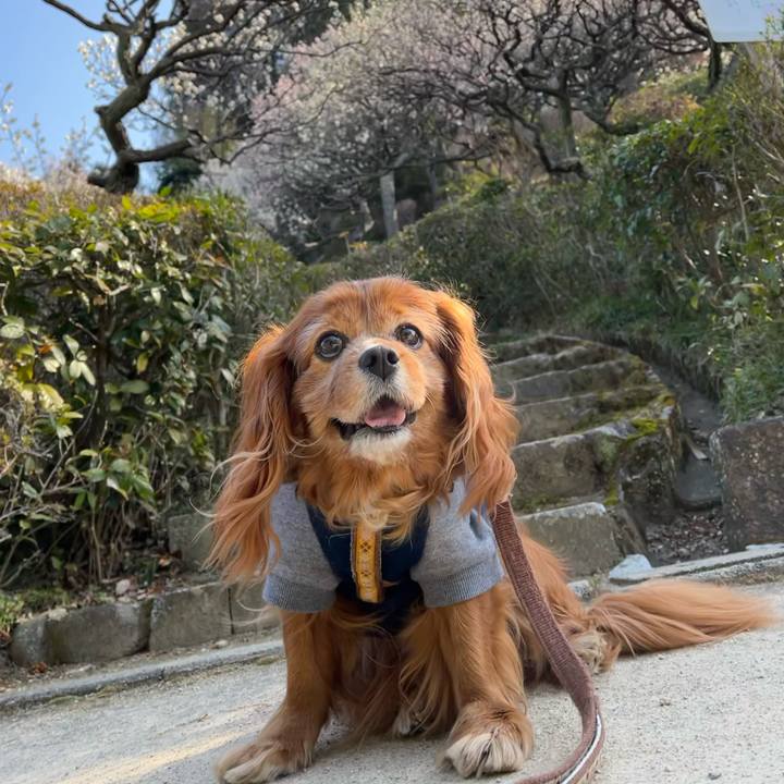 73d5895a 3422 4ab5 9c78 314c9246d2fc 1772588070287