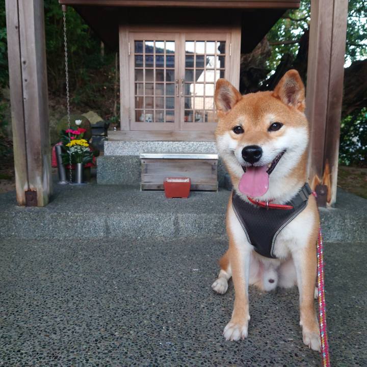 73d5c663 4639 4718 a244 a88c778f6d36 1759306745356