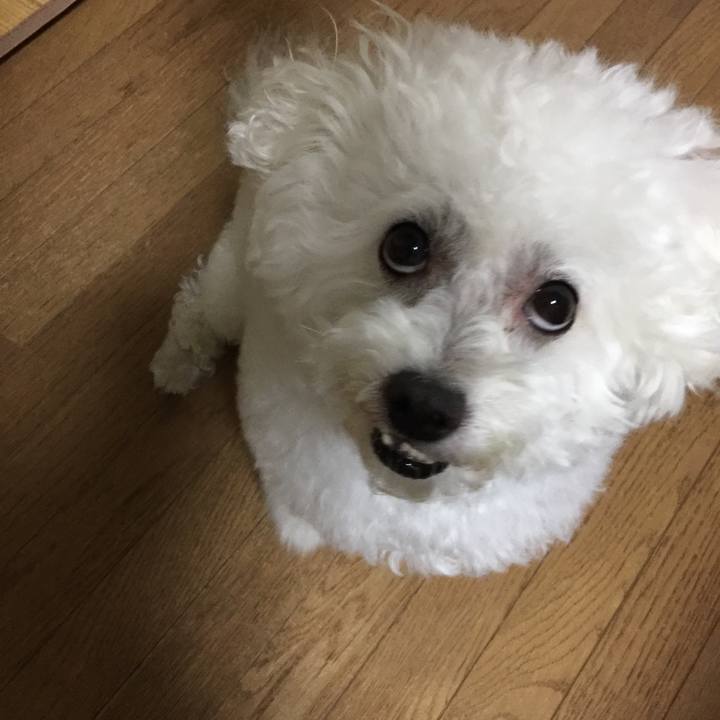 73d5d444 e30c 4588 899c a1edef33122a 1535279178626