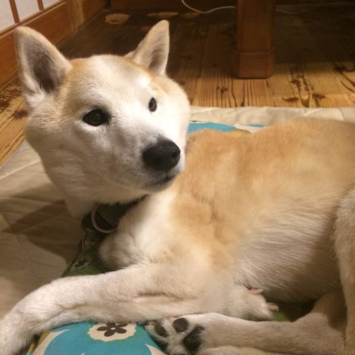 73d5f4bc 4632 4b2b 8ddf e3a90816e358 1562857004916