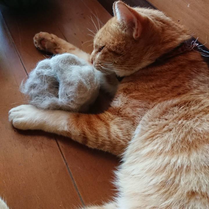 73d616a4 0ed6 4878 b093 4dda5ef2fdca 1565765758777