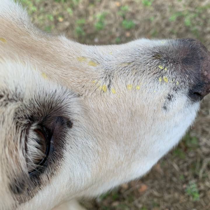 73d62691 82cd 42d9 8985 e122414cb5d3 1582414319870