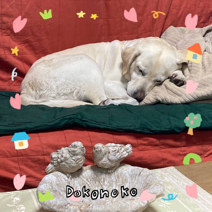 73d635e9 6127 4de4 984f fbfe18b3b3a9 1741098830931