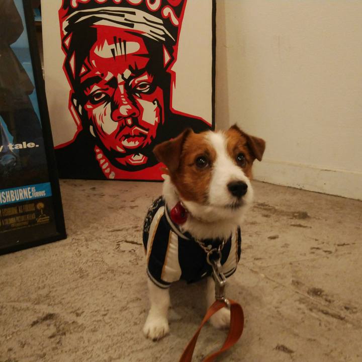 73d64612 685f 4125 9f72 e619b051e51a 1518432040402