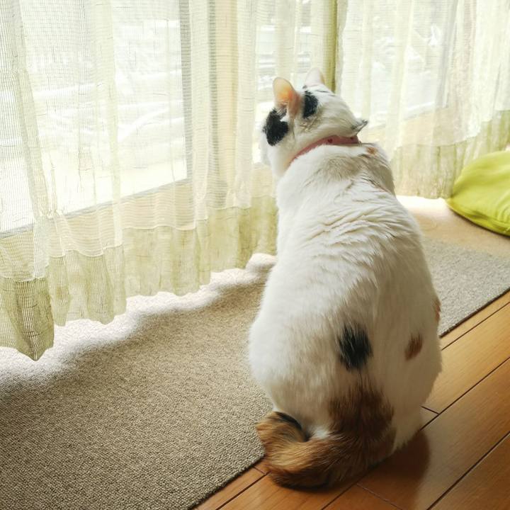 73d68a97 a004 4d3c ba4e e2d9c9adb8ba 1522806327499