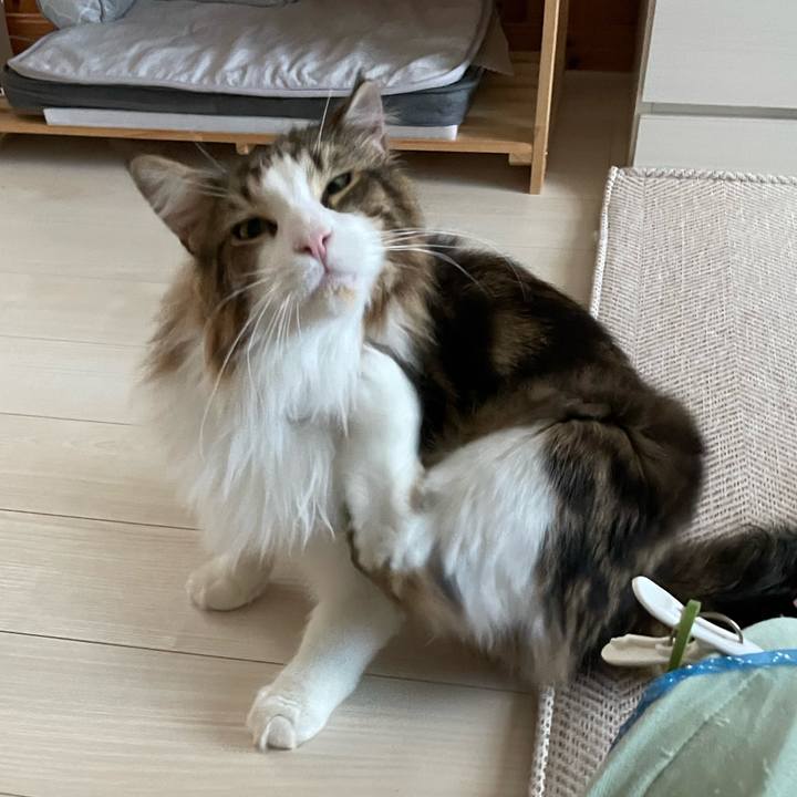 73d69420 58b8 4d15 afc1 fe9ff86ef08f 1655409300880