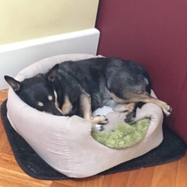 73d6ac83 965c 468b aecc 022ce5b67e7e 1769868172946