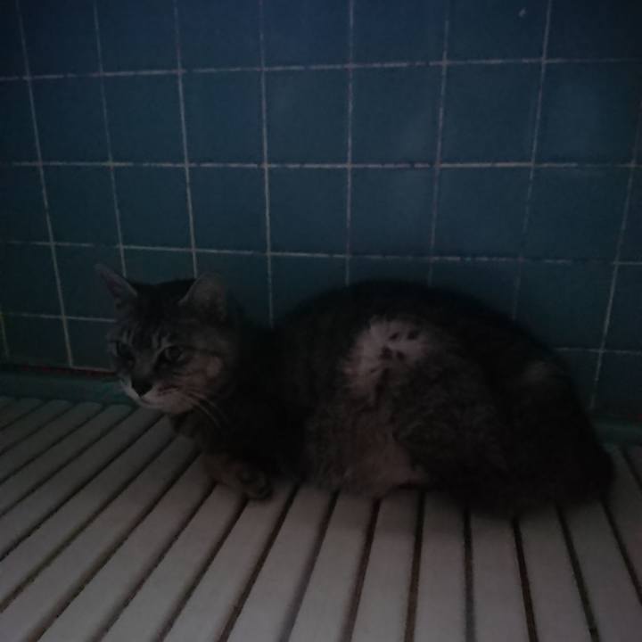 73d6efba a874 4f6a 92a8 bfbb5d6dfc3e 1593286681579