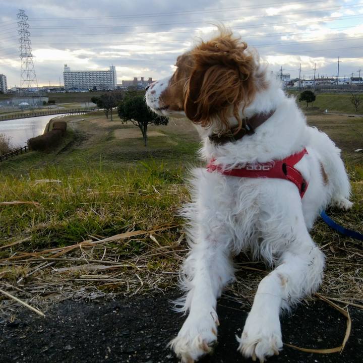 73d6f683 ab20 461f 8c23 9994c6e9f269 1546516923269