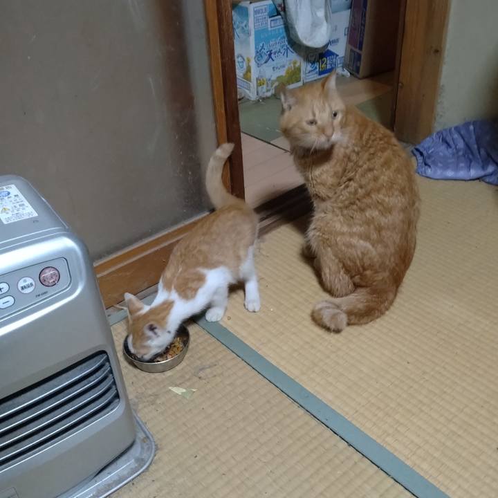 73d722bd fbfa 4421 8369 376e0de8cad3 1725273349950