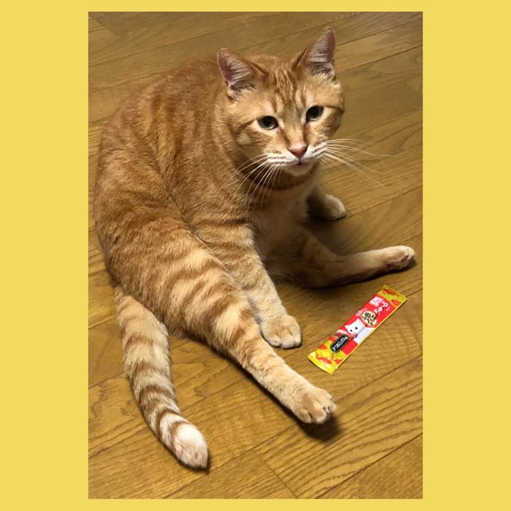 73d72c19 f50d 498d 86da 7e0b0d5cc8c2 1590318762663