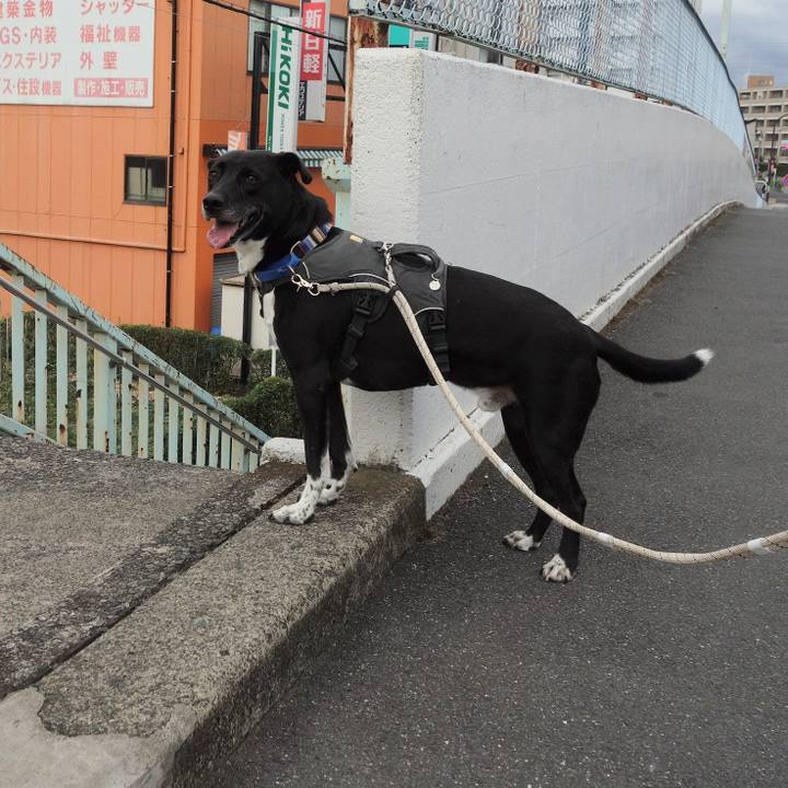 73d73222 d4f6 4d3d bcf3 d692111b4960 1657235778073