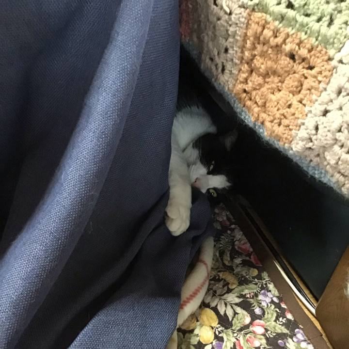 73d73a7b b2c1 4c9d bab0 c8222a4046cb 1748753650958