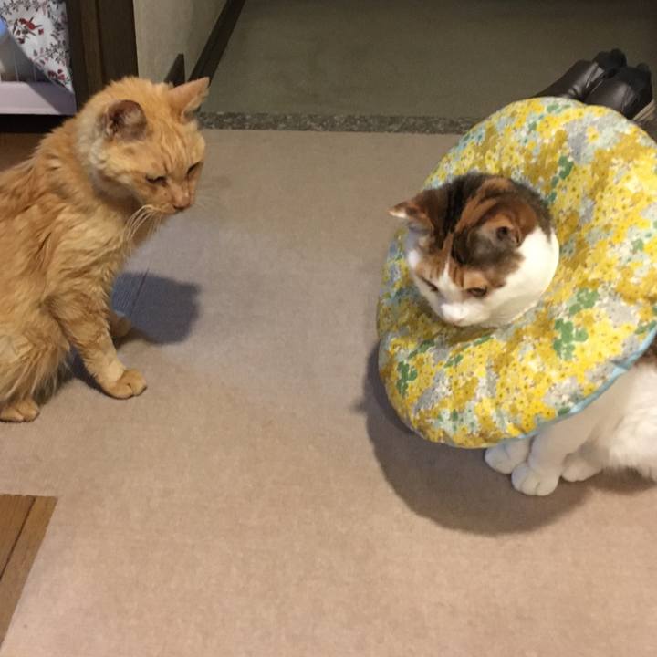 73d7f951 2942 4b4e aa19 6ec6412b05d4 1610447595491