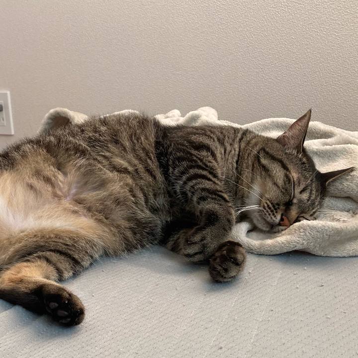 73d7ff28 5d0d 4880 9e98 b7b314a8ebec 1596944917863