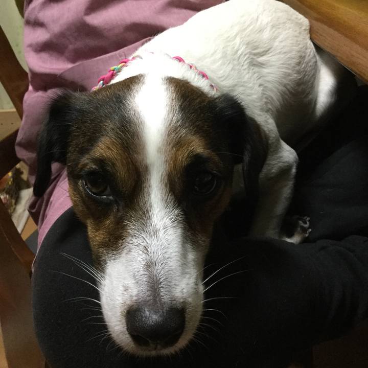 73d82771 45e5 41a3 a492 c44fc2441572 1514198706147