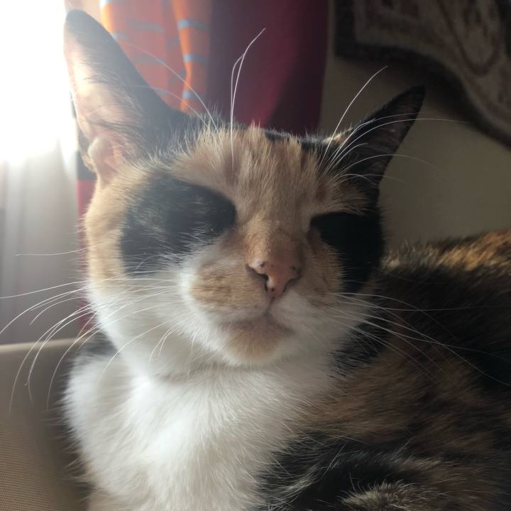 73d85f9c 9c70 44f6 a191 4ccd0134803b 1582344151715