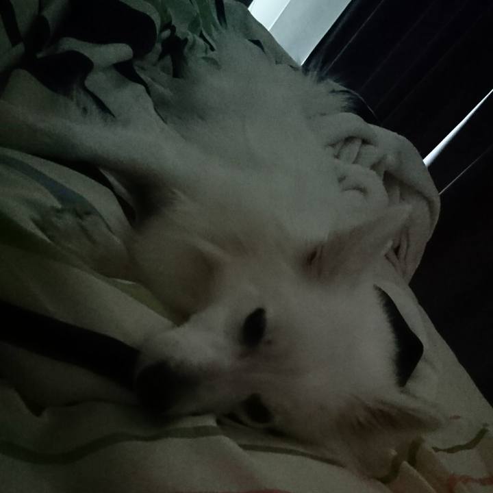 73d88416 4bb7 4eb8 9eb9 17afd548f277 1523229798903