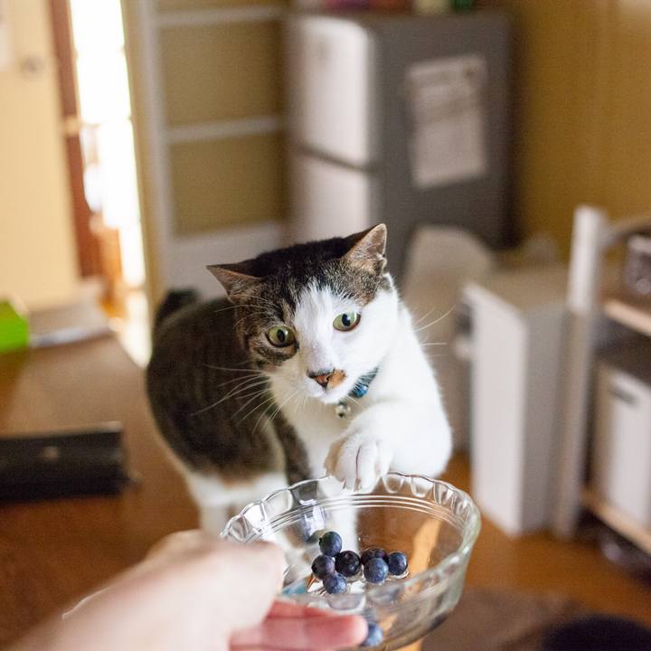 73d8870e 6235 40e2 9c84 5b489a7fc02d 1561163663584