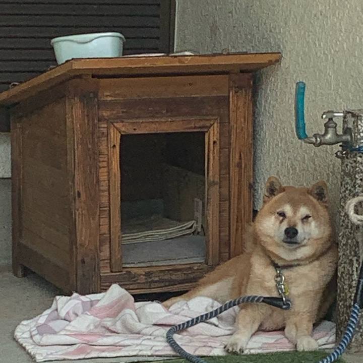 73d8f69e 0dea 4698 8f3b 0052360cf09f 1561776883254