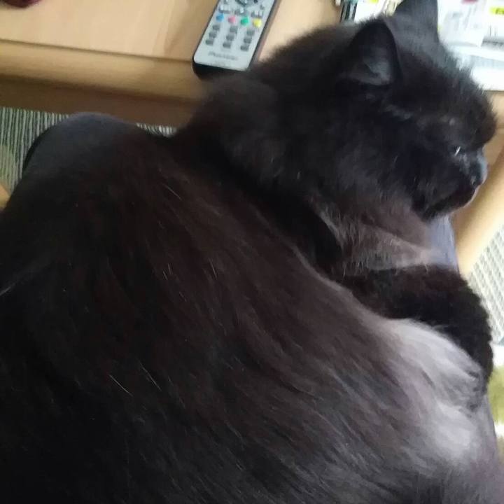 73d91e46 06da 4f4d ae6d ec9964141b85 1537777525020