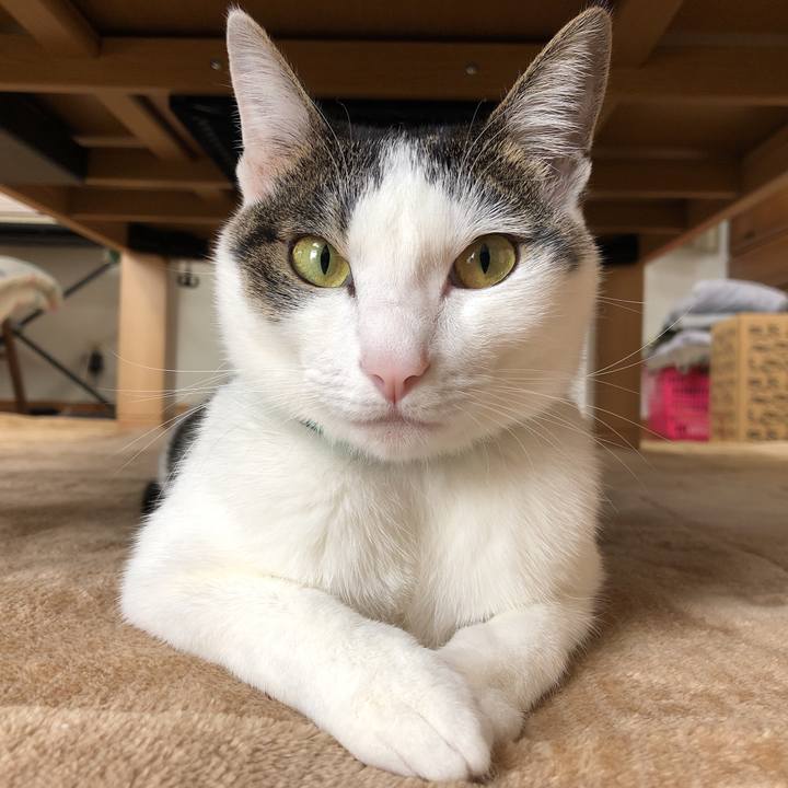 73d92576 e5c6 4a5e b77e 700b051243b6 1606954496648