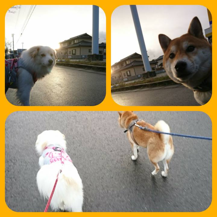 73d940ed c255 47d9 a1ef 84eb924570f6 1511478550311