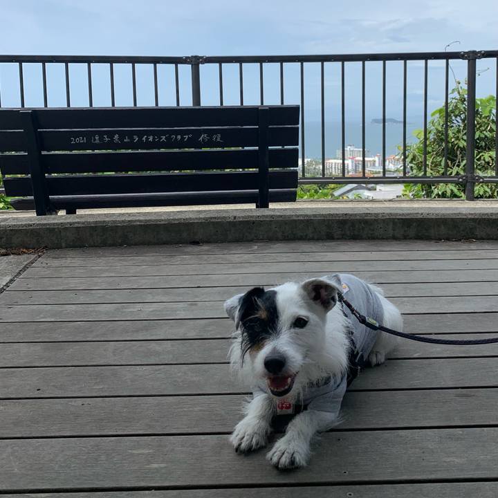 73d959c8 9b16 48fe 9ec6 09262f8dc396 1685237042723