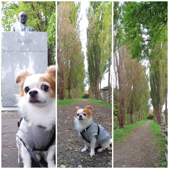 73d95fcb 1690 4bde b79a 539d891c320c 1538721973675