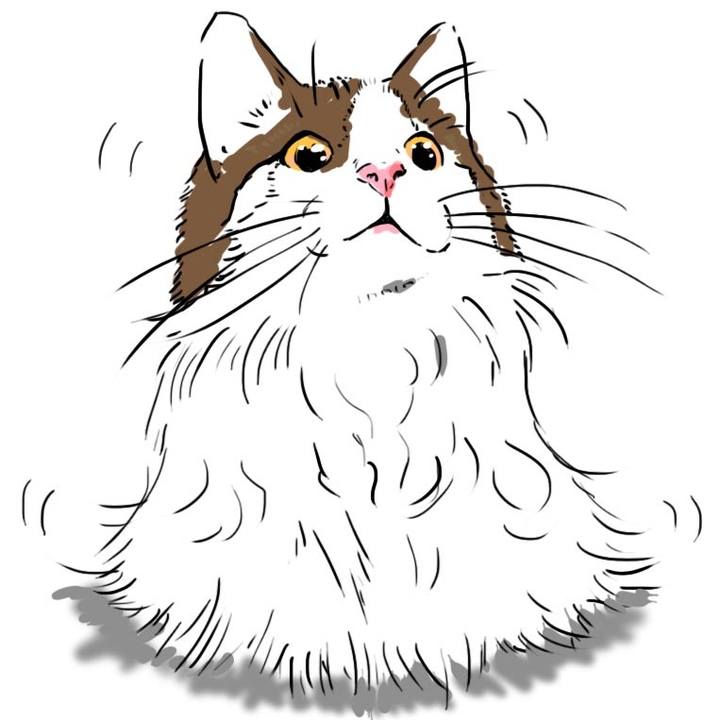 73d9747c 8a3c 42c5 a6e4 68e37e090250 1529486616773