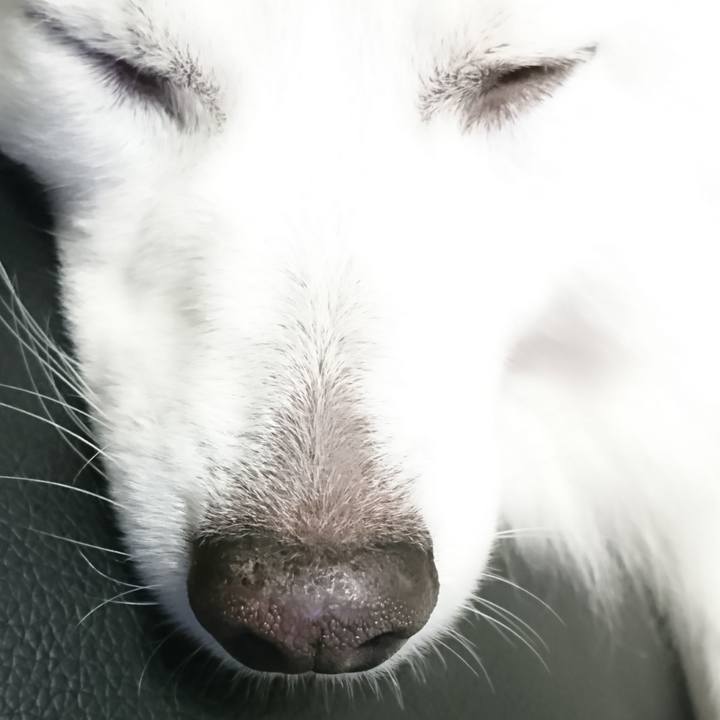 73d9818e 47e4 49fd 8d1d 51a2116769c9 1565889899717