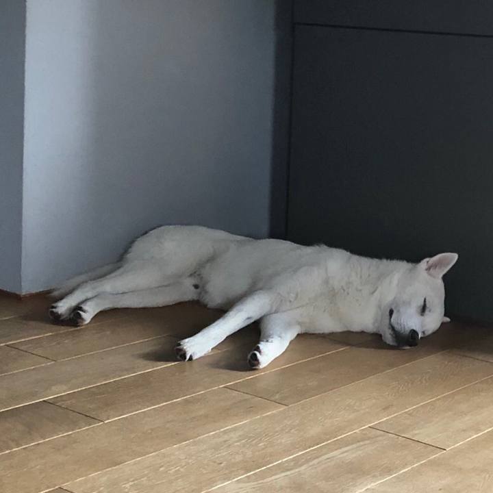 73d98da4 dc6a 4bbd 9ca2 714c8e7b5f72 1527506594363