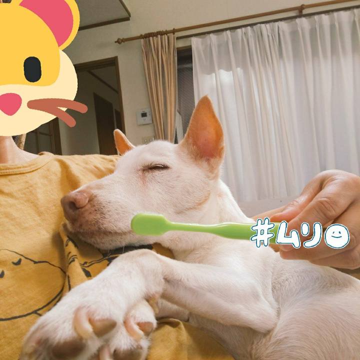 73d999be 1d8b 4657 af53 bebcdccf9efc 1569908571274