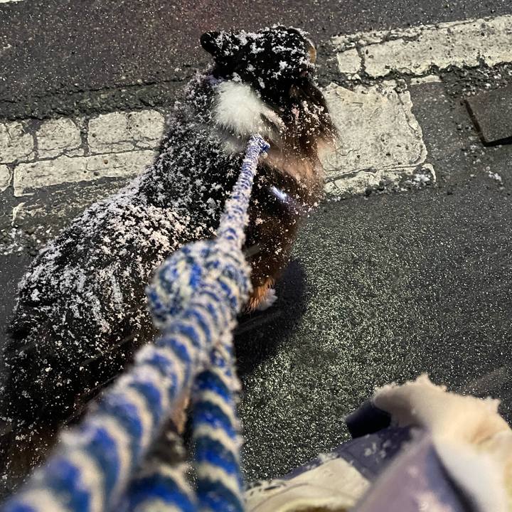 73d9c092 6607 481b abeb e0ccdcc5158a 1675074005545