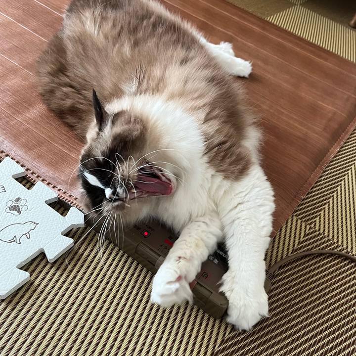 73da2d28 5606 47be a659 266a714ed52e 1701338914252