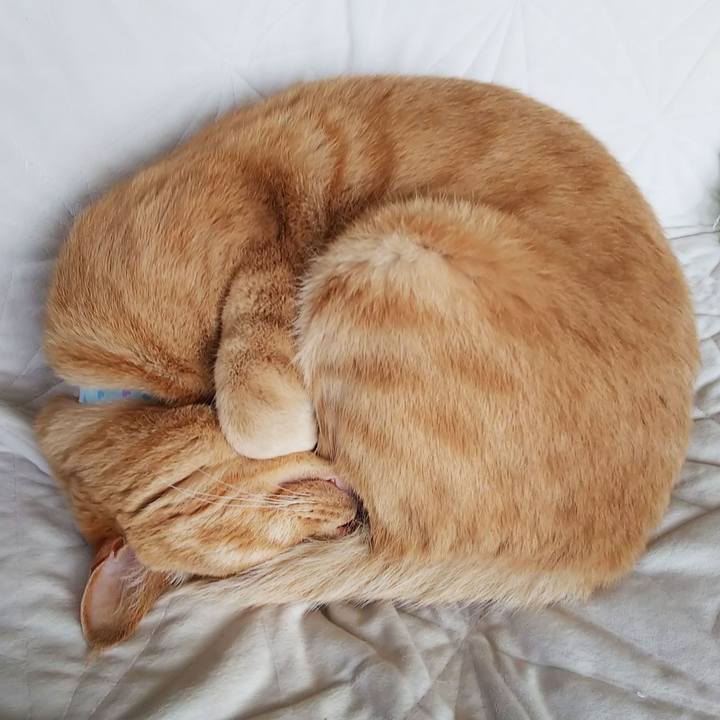 73da502c d66d 4504 83ed 39e3accd9817 1622323352810