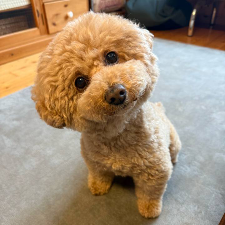 73da58a5 dc31 4814 aa67 35c842443205 1775168384023