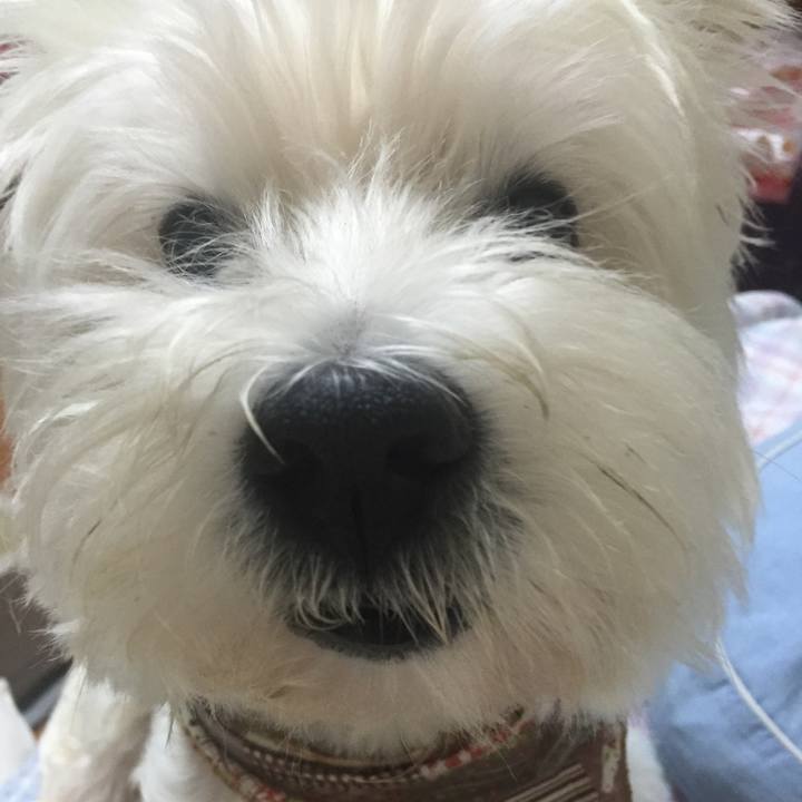 73da80dd ac53 4fe3 ba27 9a24c1dc8d86 1509602242563