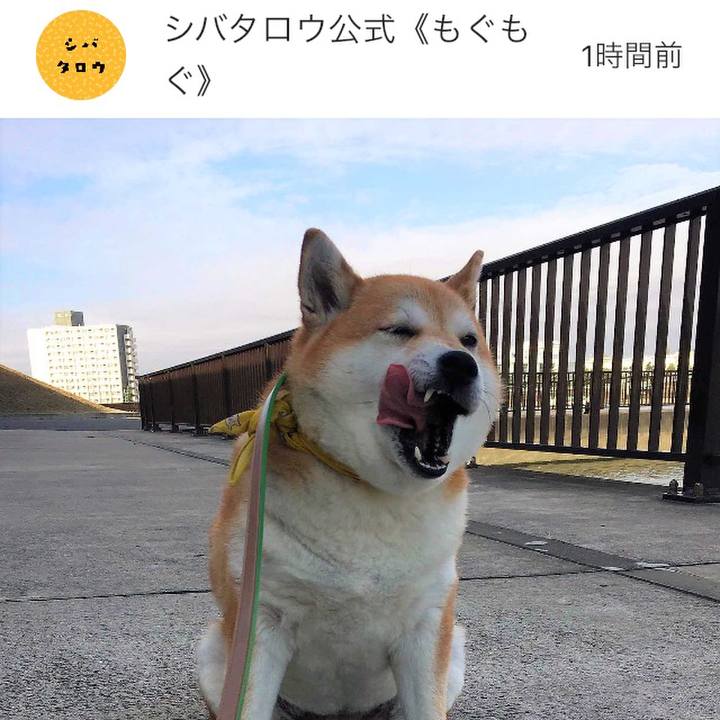 73dab168 c370 4e62 a8f3 ed47f96503c1 1637241481048