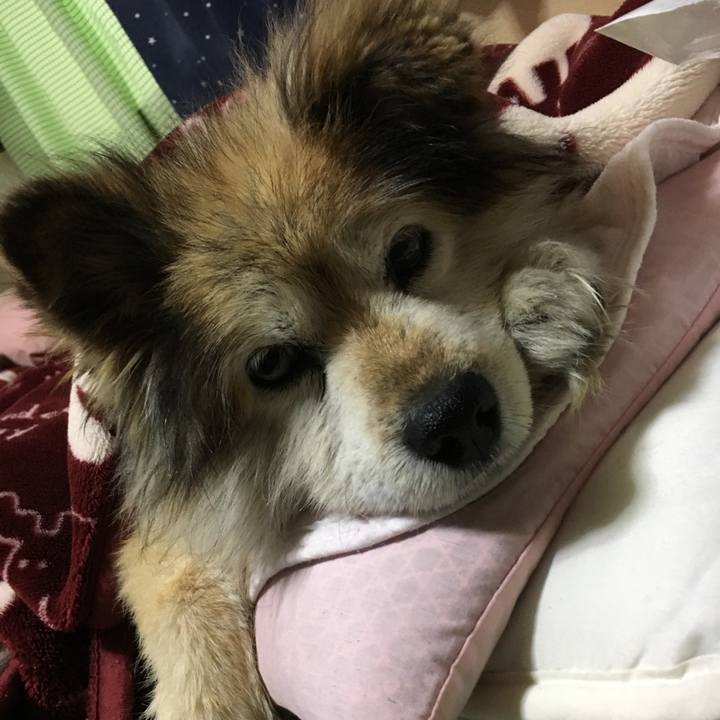 73dadd52 3d97 4e5f bf26 07ea42e8f70c 1660868090602