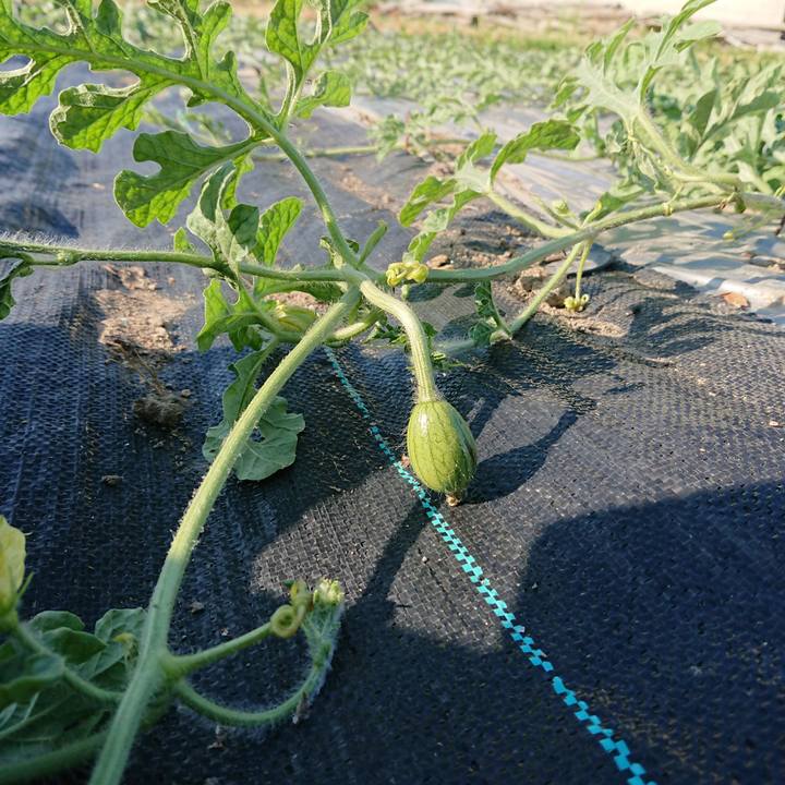 73daf120 217a 425b a82d 17127b9f3dd3 1592726010906