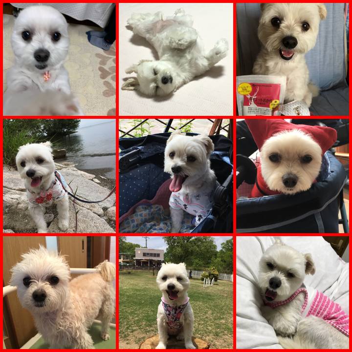 73daf472 a6ab 4894 8ae8 e8a91f96e587 1577791423948